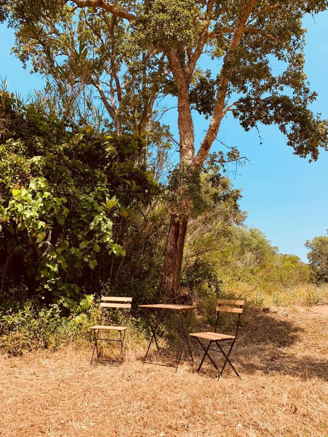 Hotel Private Eco Glamping In Aljezur Alfambras Zewnętrze zdjęcie